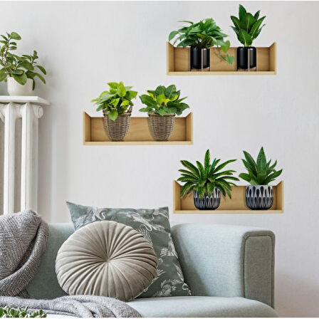 Büro Ev Ofis Yazlık Bahçe için 20x30CM Raflı Bitki Tasarımlı Yapışkanlı Duvar Sticker