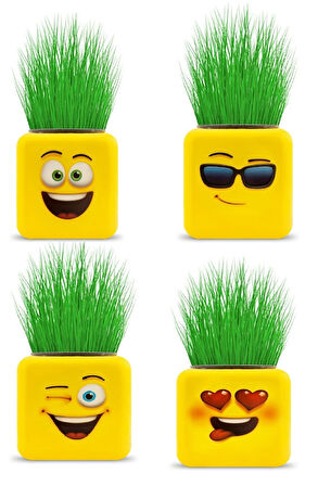 Büro Ev Ofis Hediyesi için 4 Figürlü Çimoji Emoji Küp Çim Adam