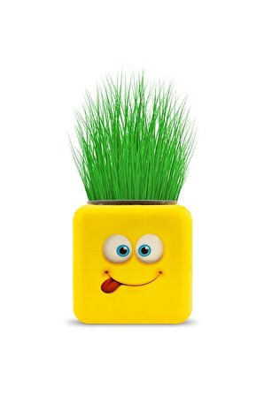 Büro Ev Ofis Hediyesi için 4 Figürlü Çimoji Emoji Küp Çim Adam