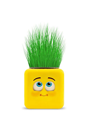 Büro Ev Ofis Hediyesi için 4 Figürlü Çimoji Emoji Küp Çim Adam