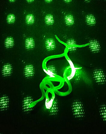 Büro Ev Ofis Eğlence Korku Şakası için 36CM Yılan Kırkayak Seti