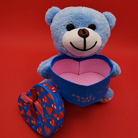 Büro Ev Ofis Hediyesi için Mavi Kutulu Ayıcık