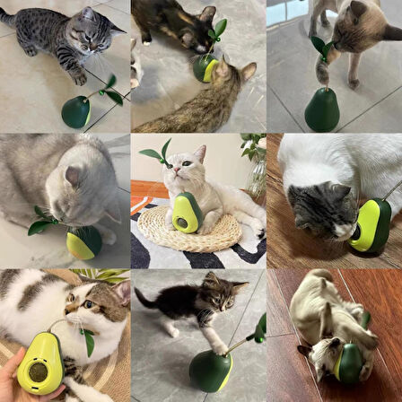 Büro Ev Ofis Evcil Pet Hayvanı Kedi için Avokado Stil Naneli Mama Hazneli Oyuncak