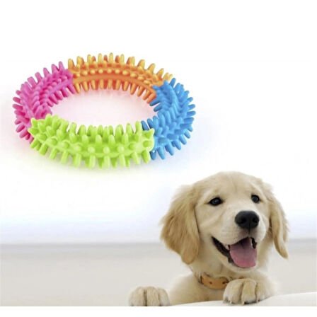 Büro Ev Ofis Evcil Pet Hayvanı Köpek için Diş Isırma Kaşıma Çemberi