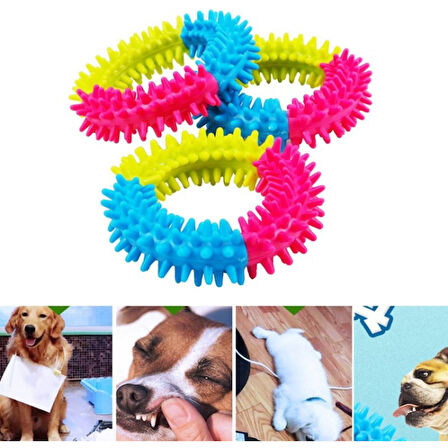 Büro Ev Ofis Evcil Pet Hayvanı Köpek için Diş Isırma Kaşıma Çemberi