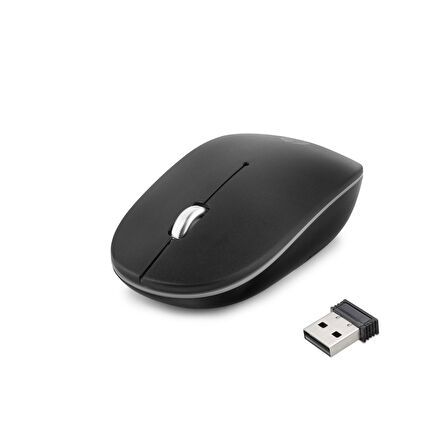 Büro Ev Ofis Bilgisayarı için Siyah 800/1600DPI Sessiz WiFi Kablosuz Mouse