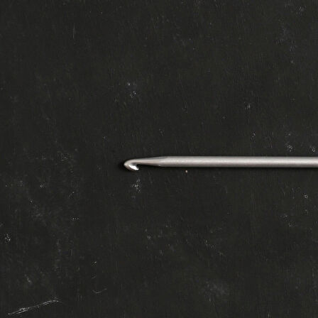 Büro Ev Ofis Hobi Dikiş Atölyesi için 30CM 4,5MM Klasik Alüminyum Tunus Tığı