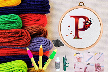 Büro Ev Ofis Hobi Dikiş Atölyesi için No84 Kasnaklı Kendin Yap Punck Nakış Seti