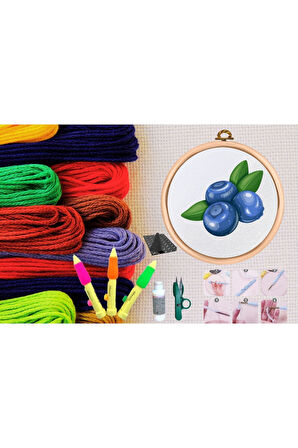 Büro Ev Ofis Hobi Dikiş Atölyesi için No148 Kasnaklı Kendin Yap Punck Nakış Seti