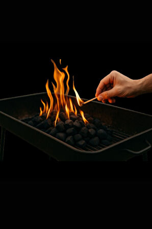 Büro Ev Ofis Yazlık Piknik Keyfi için 2KG Çabuk Tutuşan Trendy Mangal Kömürü