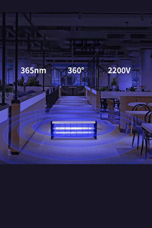 Büro Ev Ofis Yazlık Hijyeni için Elektrikli Sivrisinek Karşıtı UV Lamba