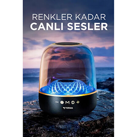 Büro Ev Ofis Hediyesi için Siyah Taşınır Kablosuz Bluetooth Hoparlör