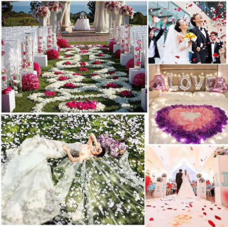 Büro Ev Ofis Etkinlik Parti için 1PK 100AD Beyaz Gül Yaprağı Şekilli Konfeti