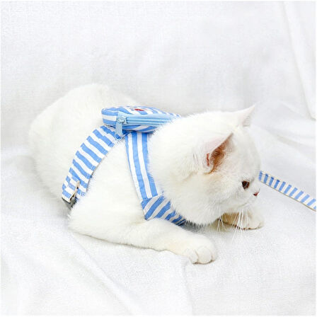 Büro Ev Ofis Evcil Pet Hayvanı Kedi için Çantalı Göğüs Gezdirme Tasması Seti