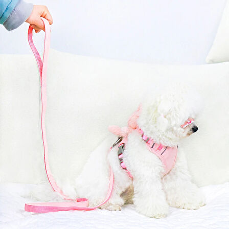 Büro Ev Ofis Evcil Pet Hayvanı Kedi için Peluş Ayıcıklı Göğüs Gezdirme Tasması Set