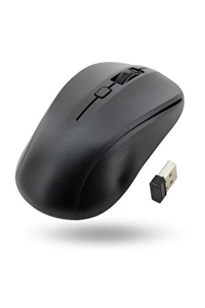 Büro Ev Ofis Bilgisayarı için 1600DP WiFi Mouse