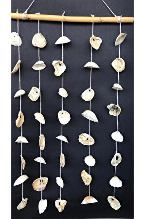 Düz Rüzgar Çanı Deniz Kabuğu Abalon