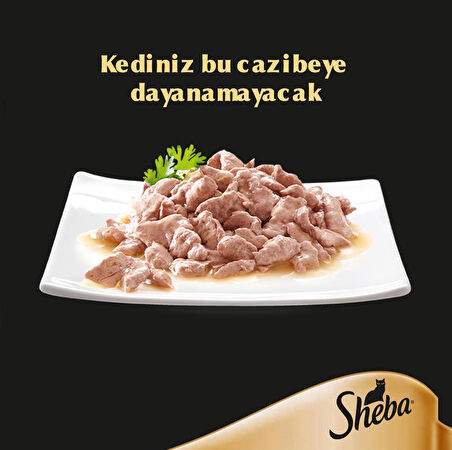 Sheba Tavuklu Yaş Mama 85 gr (12 Paket)