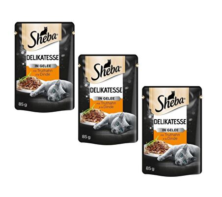 Sheba Pouch Hindili Yetişkin Kedi Konservesi 85 Gr (3 ADET)