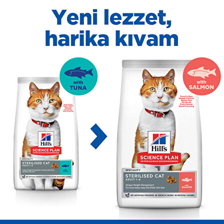 Hill's Sterilised Somonlu Kısırlaştırılmış Kedi Maması 3 kg