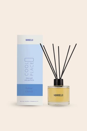 COOL PLACE BAHAR ÇİÇEĞİ 120 ml DEKORATiF ORTAM KOKUSU