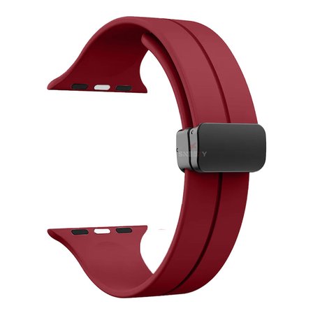 Apple Watch 42mm 44mm 45mm Seri 1 2 3 4 5 6 7 8 Se Uyumlu Coastal Manyetik Tokalı Silikon Kordon