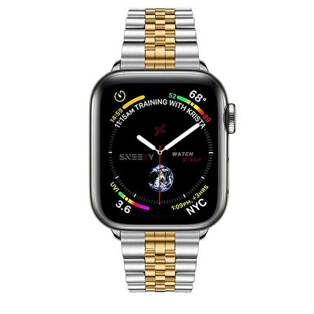 Apple Watch 42mm 44mm 45mm 1 2 3 4 5 6 7 8 Se Seri Uyumlu Ironmesh Döküm Çelik Metal Kordon