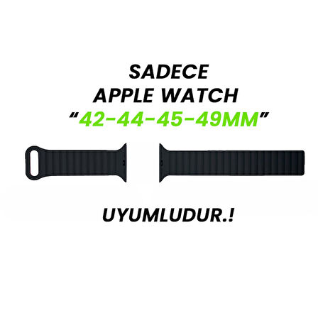 Apple Watch 42mm 44mm 45mm Seri 3 4 5 6 7 8 Se Uyumlu Harmony Duo Magnetik Silikon Kordon