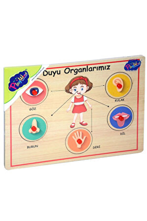 Ahşap Tutmalı Organlar Eğitici Puzzle Oyunu