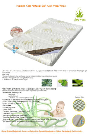 Kids Maxi Comfort Coolstyle Anne Yanı Oyun Parkı/Beşik 70x110cm Mürdüm+Aloevera Yatak