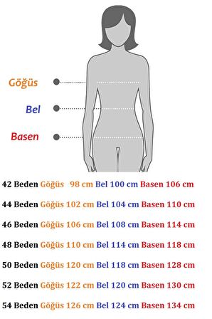 Elegance Desenli Büyük Beden Elbise 30A-2093