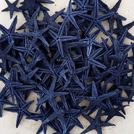 Naturel Deniz Yıldızı Minik Boy  1.5 Cm -3 Cm (100 Adet)  Mavi