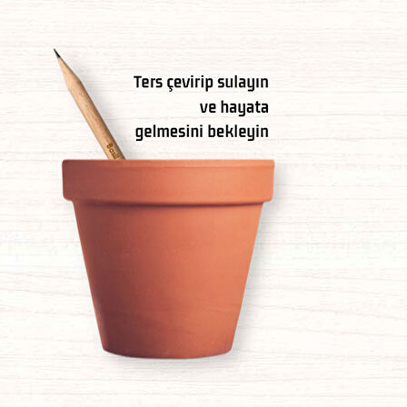 Tohumlu Yaşayan Kalem Yeşeren Kalem Tohumlu 12 Li