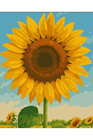 Sayılarla Boyama Seti 40x50 Cm (Çıtalı) Fırça Boya Dahil Numaralı Tuval Ay Çiçeği