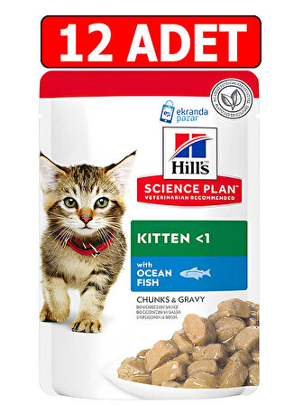 Hills kitten yavru kedi konserve 85gr 12adet ocean fish chunks gravy balıklı kedi yaş maması pouch