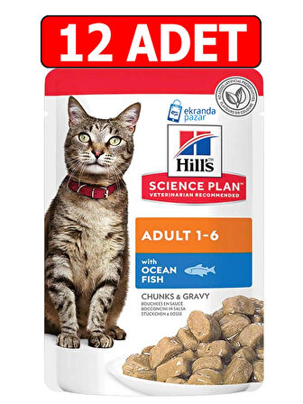 Hills adult okyanus balıklı kedi konservesi 12adet yetişkin kedi yaş mama pouch