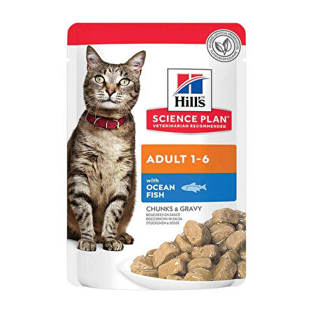 Hills adult okyanus balıklı kedi konservesi 12adet yetişkin kedi yaş mama pouch