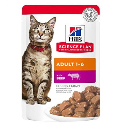 Hills biftek kedi konservesi 12adet adult yetişkin kedi yaş maması pouch