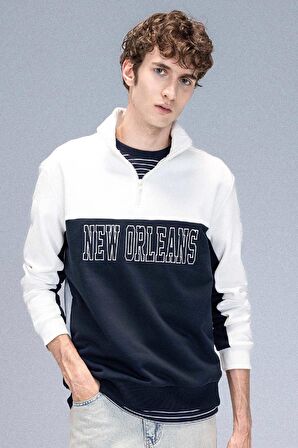 DeFacto Relax Fit Dik Yaka Yarım Fermuarlı Baskılı Kalın Sweatshirt D2169AX24AUER139