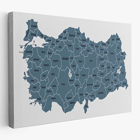 Harita Sepeti Türkiye Haritası Kanvas Tablo Eğitici ve Öretici Dekoratif Tablo Tablo 3121