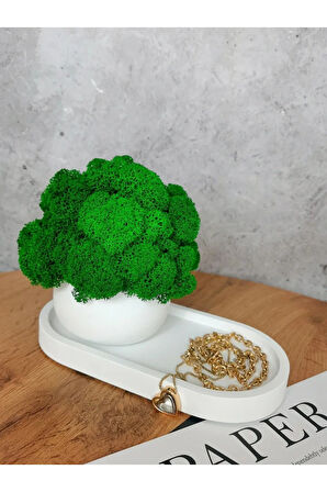 Dekoratif Tepsili Mumluk ve Takı Düzenleyici | 2 Parça Şık Masa Üstü Organizer Seti