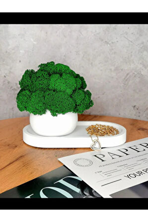 Dekoratif Tepsili Mumluk ve Takı Düzenleyici | 2 Parça Şık Masa Üstü Organizer Seti