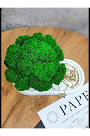 Dekoratif Tepsili Mumluk ve Takı Düzenleyici | 2 Parça Şık Masa Üstü Organizer Seti