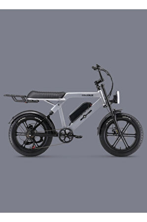 APE RYDER COLOBUS ELEKTRİKLİ BİSİKLET - GRİ