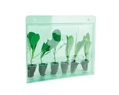 Plastik Bitki Taşıma Kabı - 5 adet