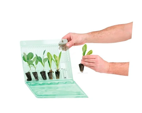 Plastik Bitki Taşıma Kabı - 5 adet
