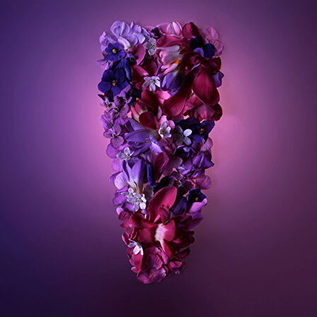 Shiseido Ginza Murasaki EDP 90ML Kadın Parfümü