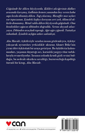 Alnı Mavide