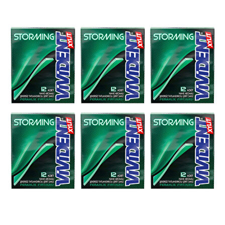 Vivident Storming Sakız Nane 33 gr x 6 Adet