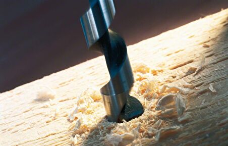 Bosch 22x235 mm Yılan Ahşap Matkap Ucu 1/4" Adap. 2608597633
